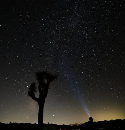 Проекторы для детской комнаты создание звездного неба на потолке
