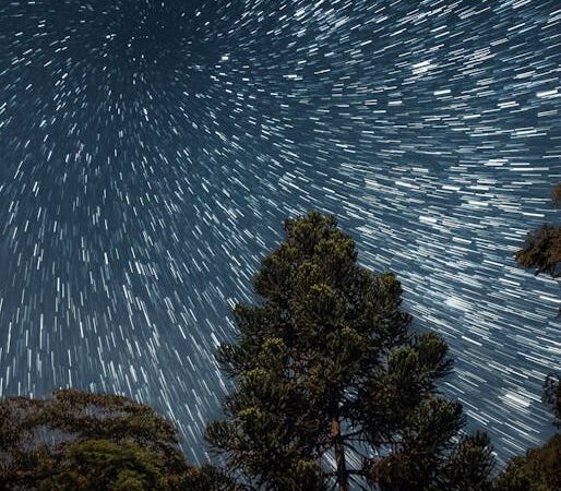 Проекторы звездного неба для детей