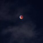 Диски для планетария Segatoys image_192.jpg