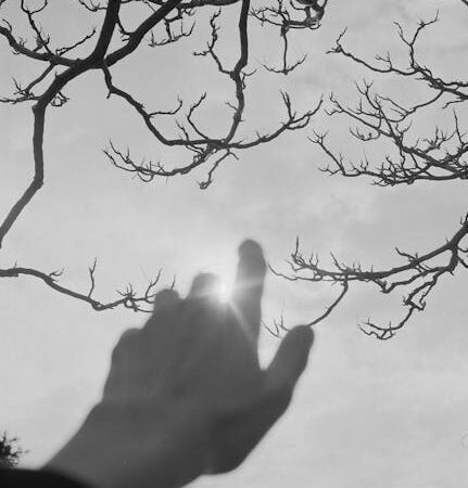 Планетарий Flux — инновационный инструмент для изучения астрономии и космоса