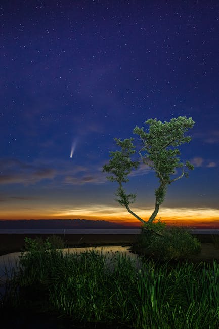 Проекторы звездного неба и картриджи к ним