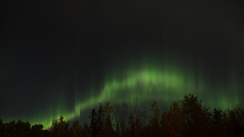 Проектор звездного неба на потолок: выбор и преимущества