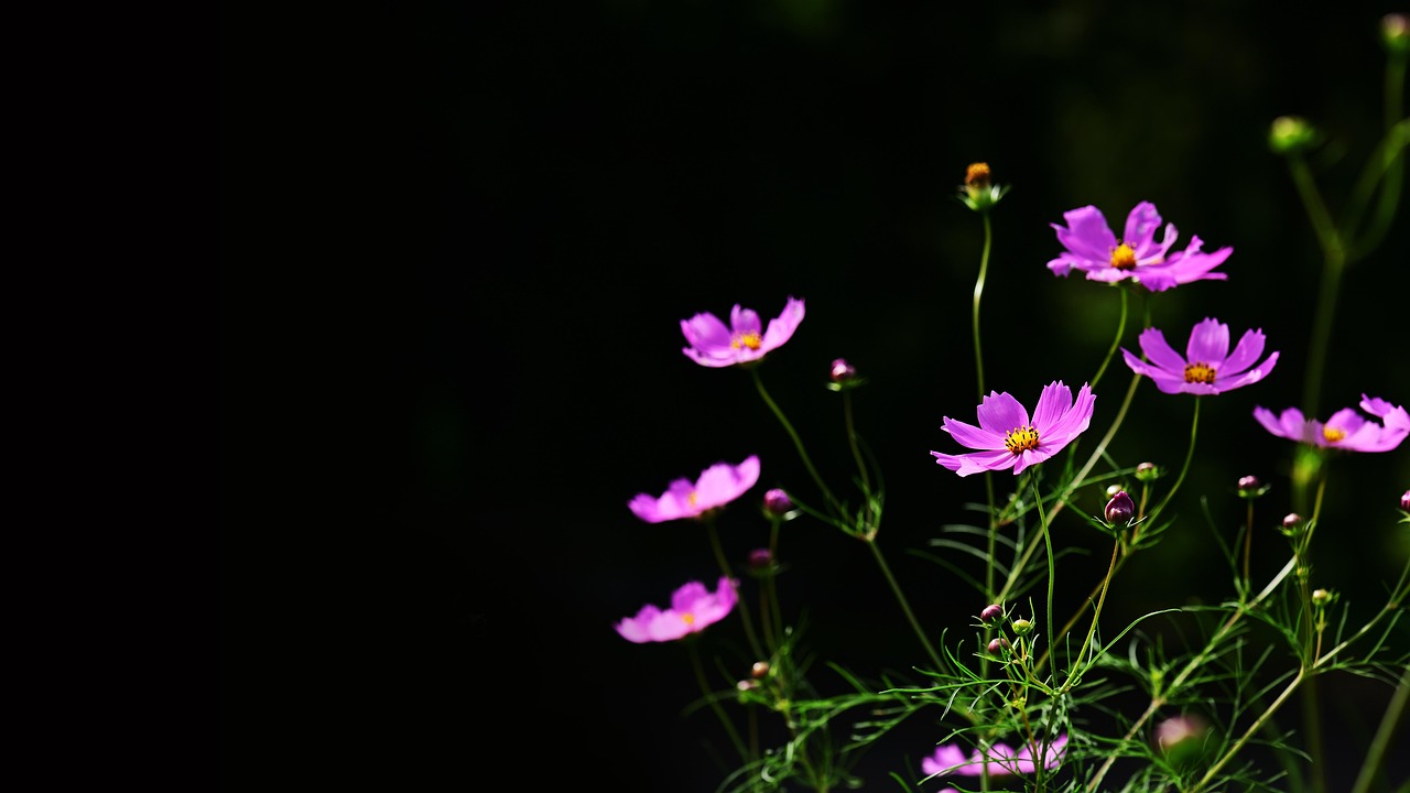 Светодиодные ночники с проекцией звездного неба