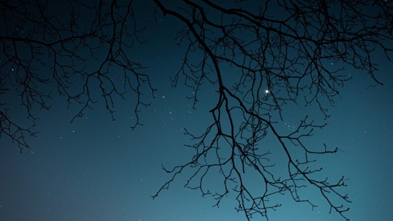 Светодиодный галактический проектор звездного неба для домашнего интерьера