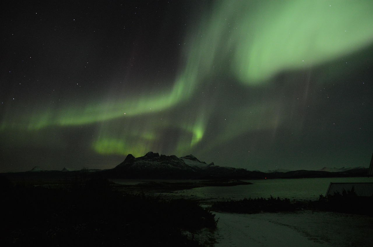 Лазерный проектор звездного неба для домашнего кинотеатра