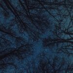 Планетарий Segatoys и оборудование для изучения астрономии images467.jpg