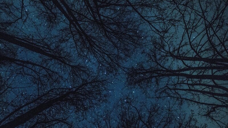 Планетарий Segatoys и оборудование для изучения астрономии