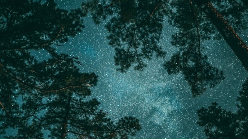 Проектор звездного неба как выбрать лучший для дома