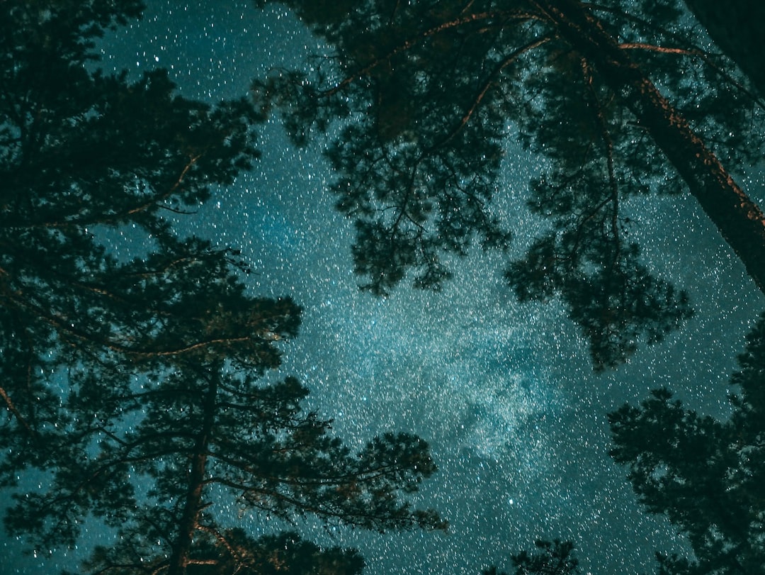 Проектор звездного неба как выбрать лучший для дома